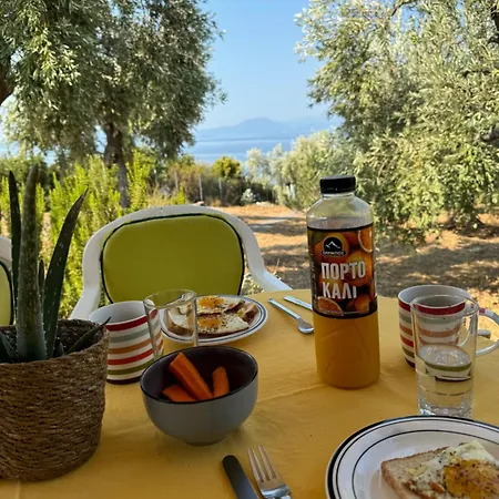 Haus Im Olivenhain Direkt Am *