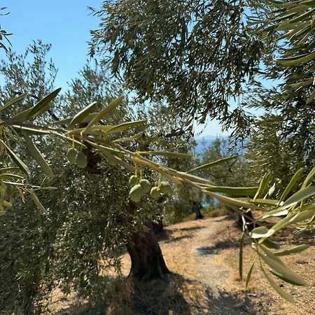 Σπίτι διακοπών Haus Im Olivenhain Direkt Am Άφησσος