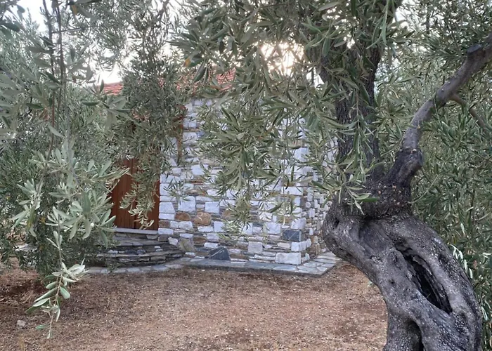 Haus Im Olivenhain Direkt Am * Afissos