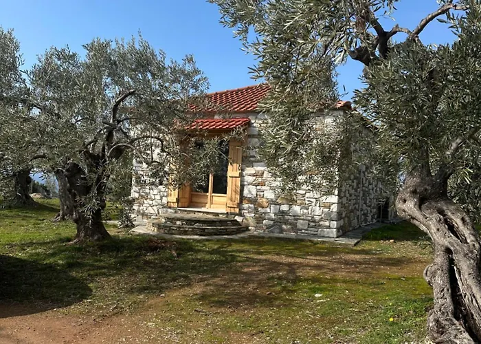 Haus Im Olivenhain Direkt Am * Afissos