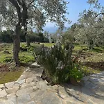 Haus Im Olivenhain Direkt Am *