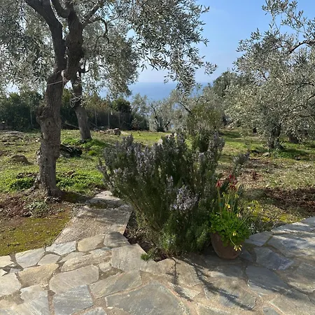 Haus Im Olivenhain Direkt Am *