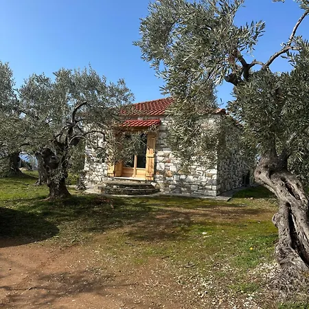 Haus Im Olivenhain Direkt Am * Afissos