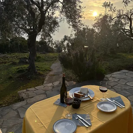 Holiday home Haus Im Olivenhain Direkt Am Afissos