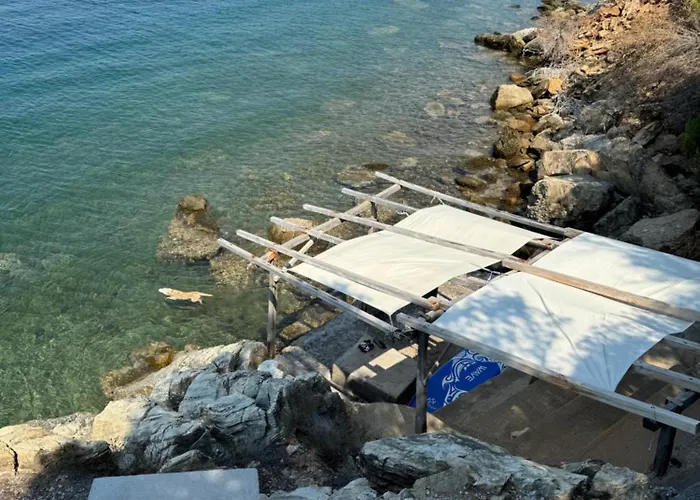 Haus Im Olivenhain Direkt Am