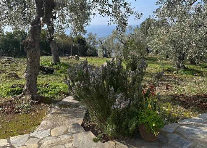 Haus Im Olivenhain Direkt Am *